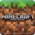 Minecraft(ҵƽ) 1.16.220.50