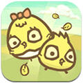 Chicky Duo(С)
