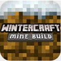 Winter Craft 3: Mine Build:ҵĽ