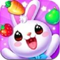 Fruit Bunny Mania(ˮ(ˮ))