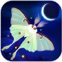 ҹflutter starlightٷ°׿