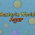 Bacteria(ϸս)