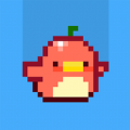 Falling Birdz(С׿)