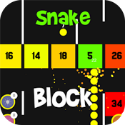 Snake Vs Block(߶ש鰲׿)