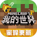 Minecraft(ҵ1.17ʰֻ)