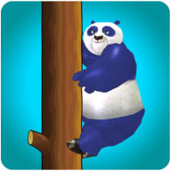 Sweet Panda Fun Games