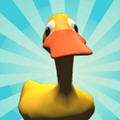 Runny Duckΰ׿