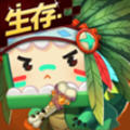 簲װ