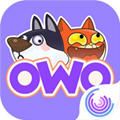 Meowoof(ŷŷ2021ٷ)