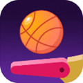 Flipper Dunk(׿)