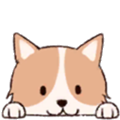 ȻƆ