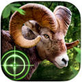 Wild Hunter(Ұ(Ϸ))