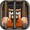 Cube Prison: The Escape(Ѱ׿)