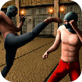 Ninja Kung Fu Fighting(ҹ߸°׿Ϸ)