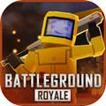 BattleGround Royale(սɱ)