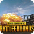 PUBG MOBILE LITE(ɱ°)