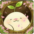 Mandora()