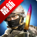 ս(Battle Knife)