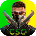 CSO