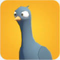 Pigeons Attack(ӹ)