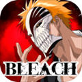 BLEACH°