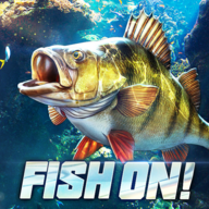 Fish OnϷʷ°