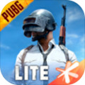 PUBG MOBILE LITE(Ƿ)