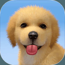 �λ�С�����°汾 1.0.3