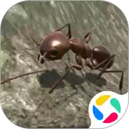 ģ