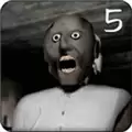 granny5